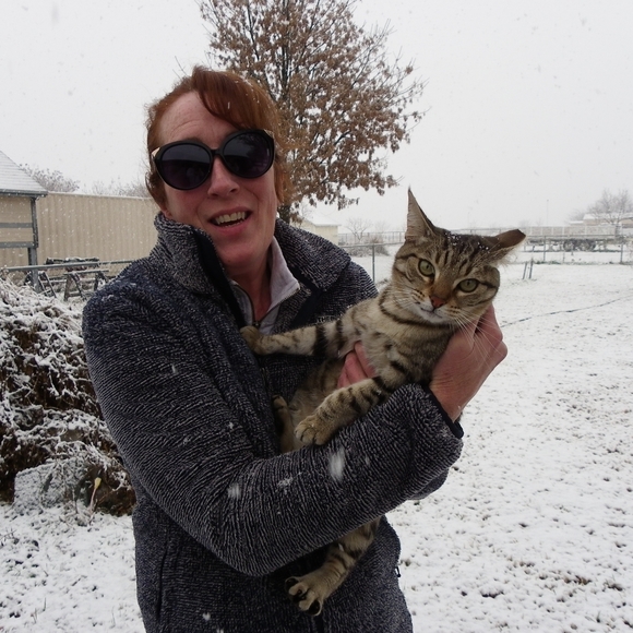 #1 Follow Game - Picture 4 of 7